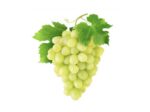 Delicious Grapes - Image 3
