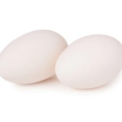 Goose Egg 5 Pack