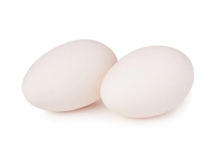 5_4 Goose Egg 5 Pack - Image 1