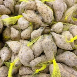 One Pack Purple Sweet Potato