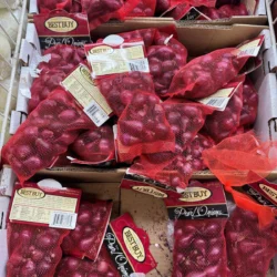 Shallots 1 Bag