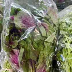 One Pack Red Amaranth