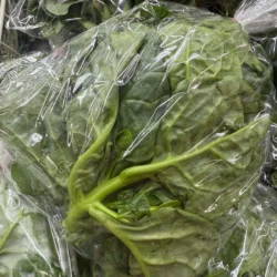 One Pack Malabar Spinach