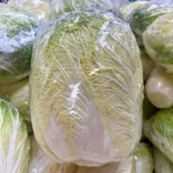 Napa Cabbage 1 Count