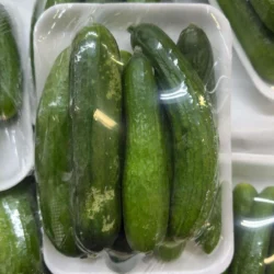 One Blister Pack Persian Cucumbers
