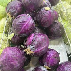 Fresh Red Cabbage