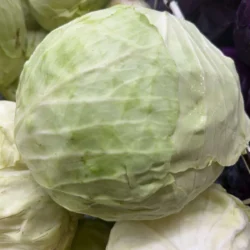 Fresh Green Cabbage 2.5-3.3 lb