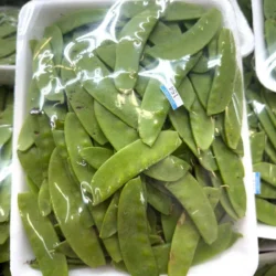 Fresh Snow Peas