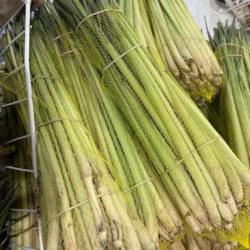 Fresh Lemongrass