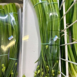 Fresh Garlic Chives with Flower