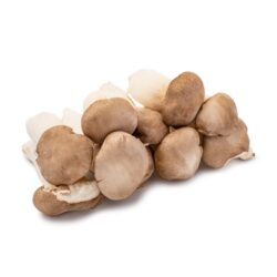 Organic Mini King Oyster Mushroom 300 g