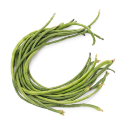 Green Long Bean 1 lb