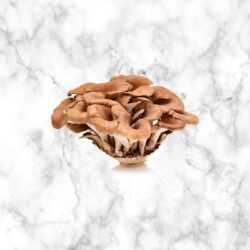 Maitake Mushrooms 150 g