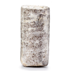 Fresh Oyster Mushroom Log 1 count