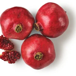 Pomegranate 1 count