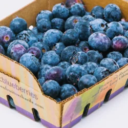 Organic Blueberries 6 oz