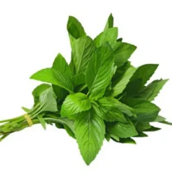 Rau Hung Cay (Hung Cay (Pepper Mint) 1 bunch)