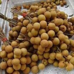 Vietnamese Longan 2 lb