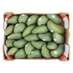 Thai Mango, 1 Case 8-10 lb