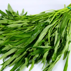 Ong Choy Mieu 0.95-1.05 lb