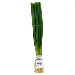 Green Onion 1 bunch