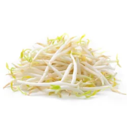 Mung Bean Sprouts 12 oz