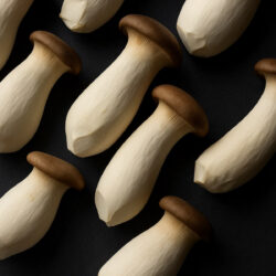 King Oyster Mushrooms 1 lb