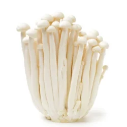 Seafood Mushroom 150 g