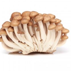 Shimeji Brown Mushroom 150 g