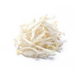 Soy Bean Sprouts 1 lb