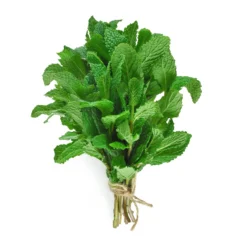 Mint 1 bunch