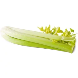 Celery 1 bunch