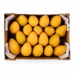 Champagne Mango Gift Box 12-20 count