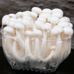 White Beech Mushrooms 150 g