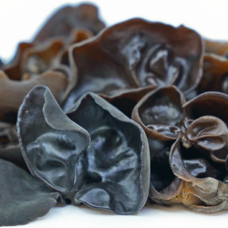 Black Wood Ear Mushroom Fungus 6 oz