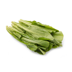 Potherb Mustard 2 lb