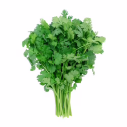 Cilantro 1 bunch