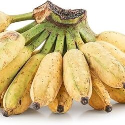 Thai Banana 1 bunch