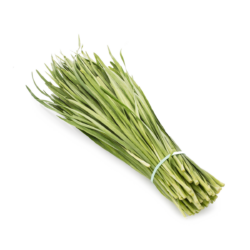 Chives 1 lb