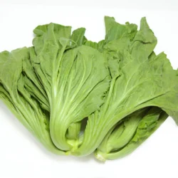 Gai Choy Big 2.8-3.2 lb