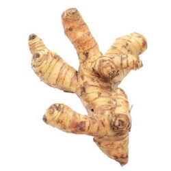 Galangal 1 lb